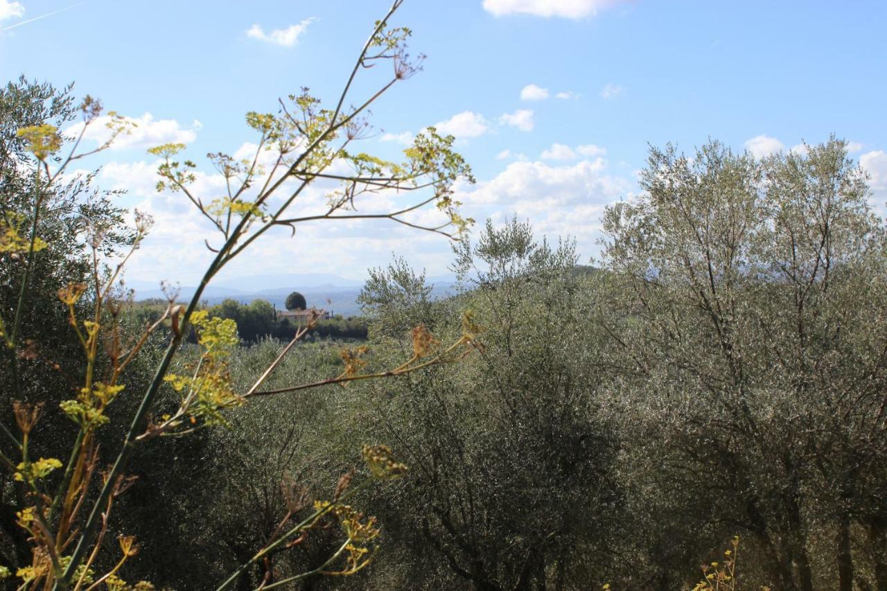 Country House Il Covo Della Civetta Barberino di Val dʼElsa Екстериор снимка